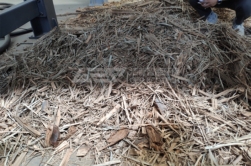 棕榈叶破碎出料成品